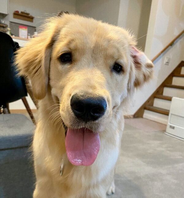 笑顔が可愛いうにちゃん