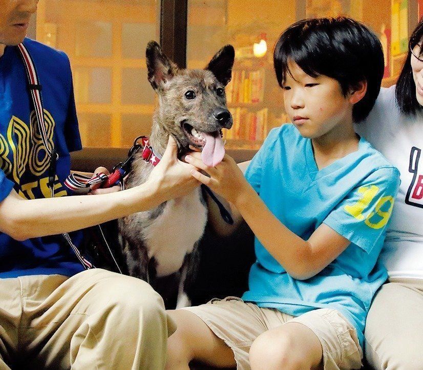 家族に大事にされ、皮膚病もすっかりよくなったととくんは、現在トイレトレーニング中