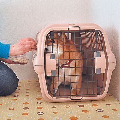 横の穴から追加おやつを