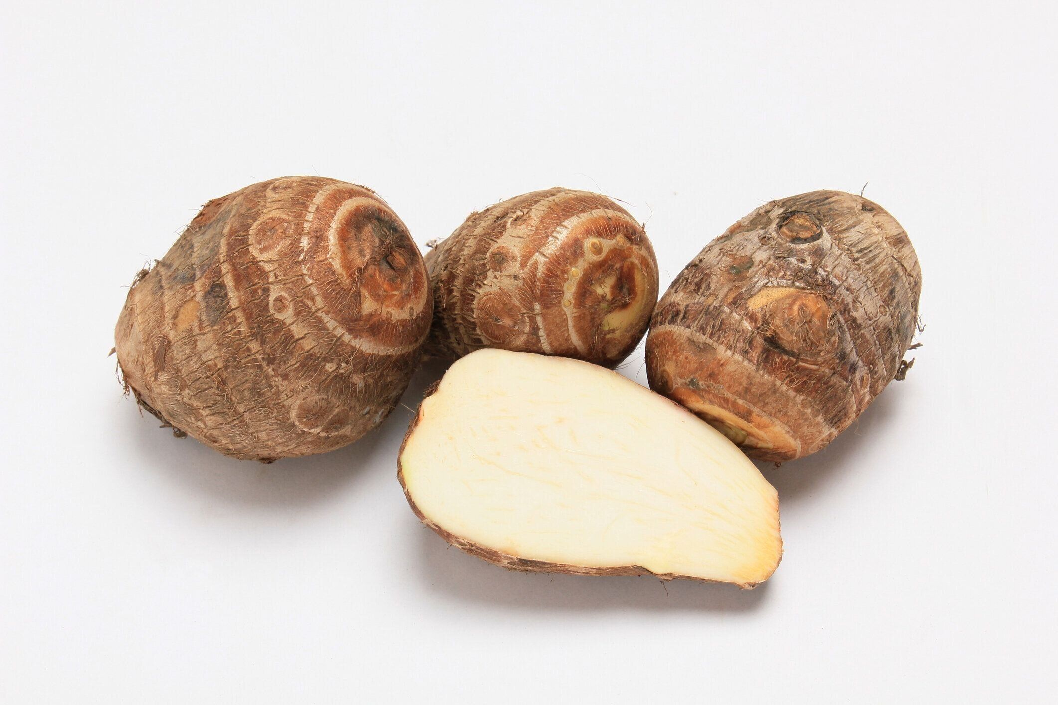 白い背景に里芋