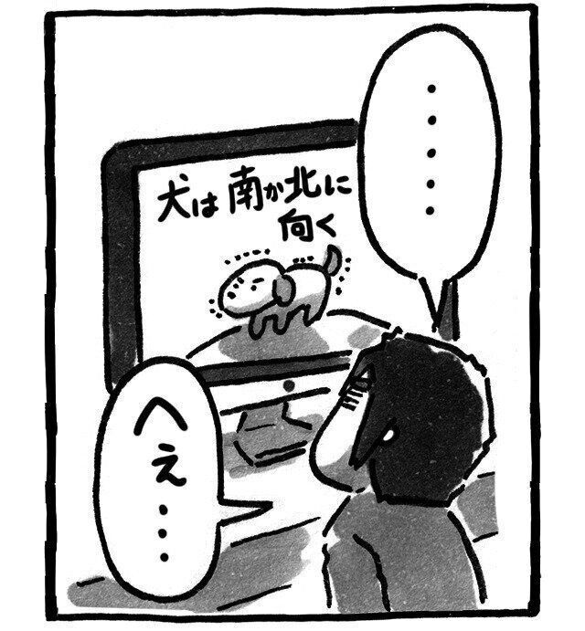 シーズー犬マンガてんぽshihtzu