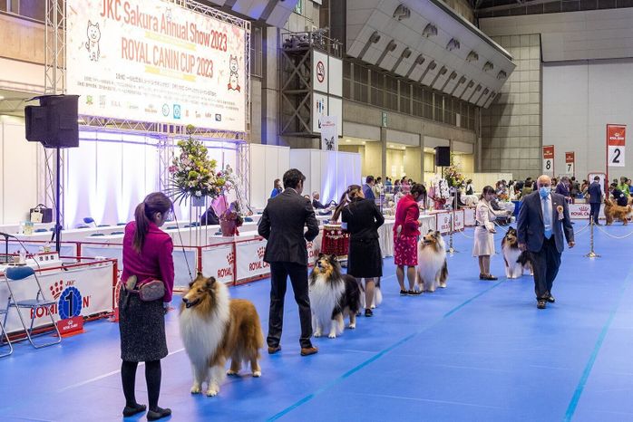 「ロイヤルカナン・カップ2023」に参加した犬たち