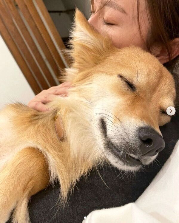 くつろぐえまちゃん