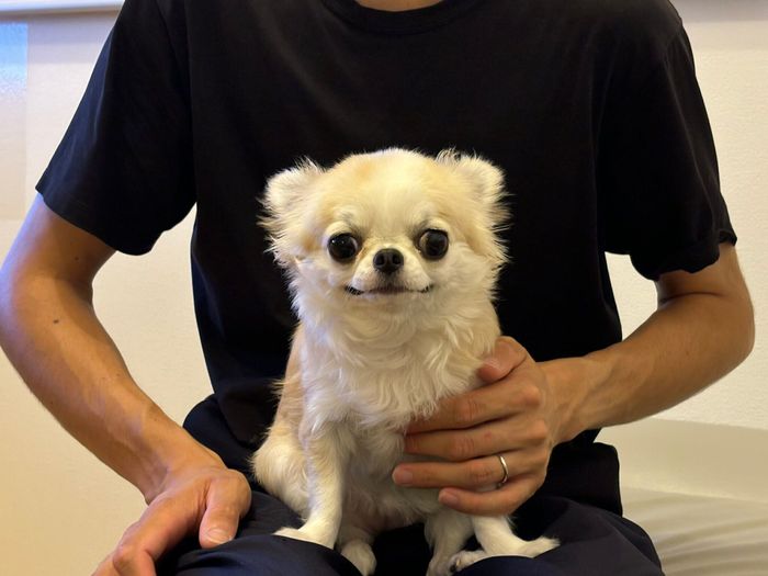 にっこりしているうめちゃん