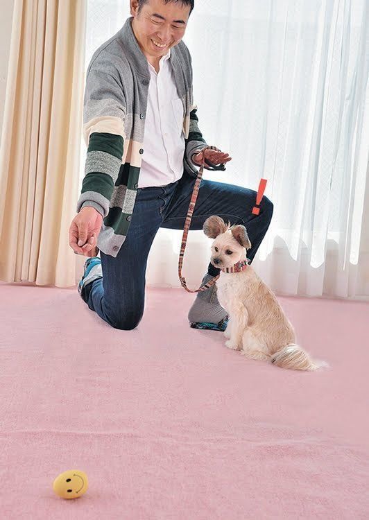 ゆうわくわくわくゲーム2