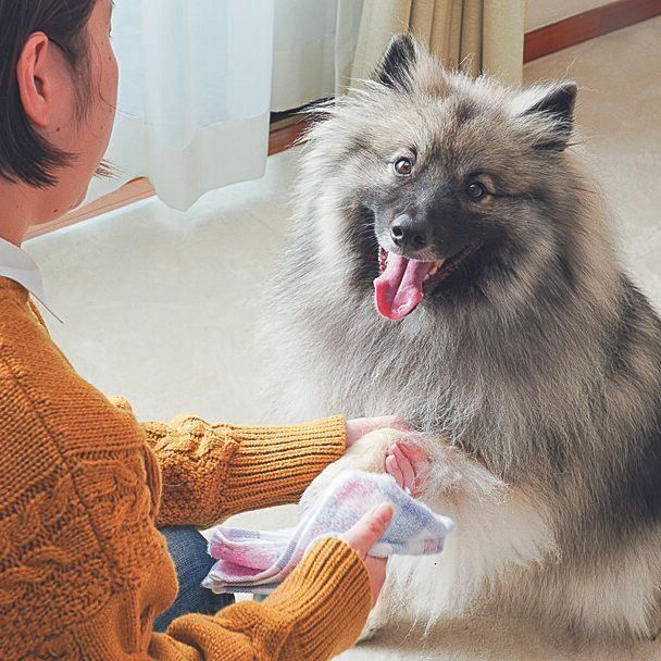 撮影／殿村忠博