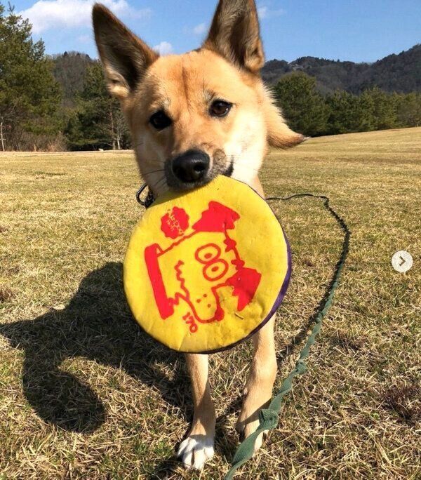 楽しく遊ぶあずきちゃん