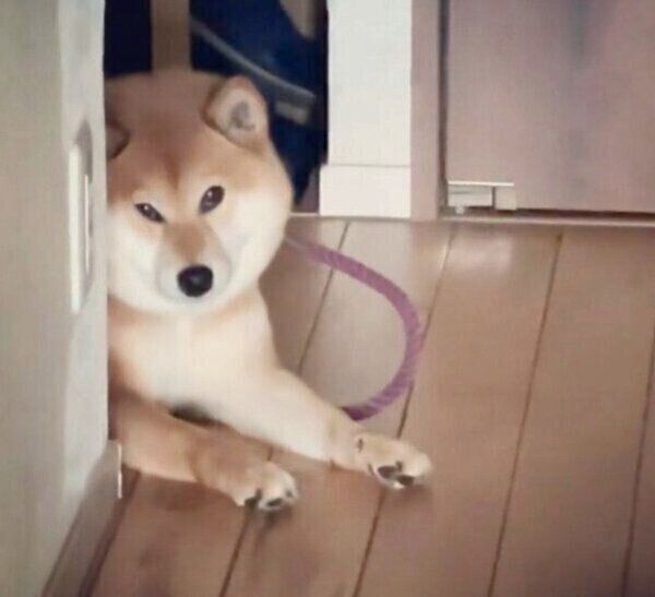 ふてくされるエマちゃん