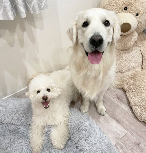 笑顔で見つめてくるむうくん、めるくん