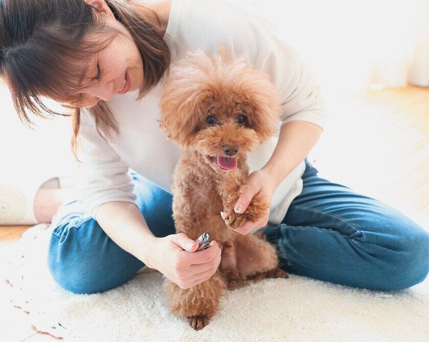 オテの姿勢で爪切り