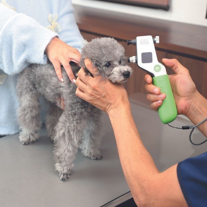 眼圧検査の様子。※検査用のプローブ（探針）はつけずに撮影しています。