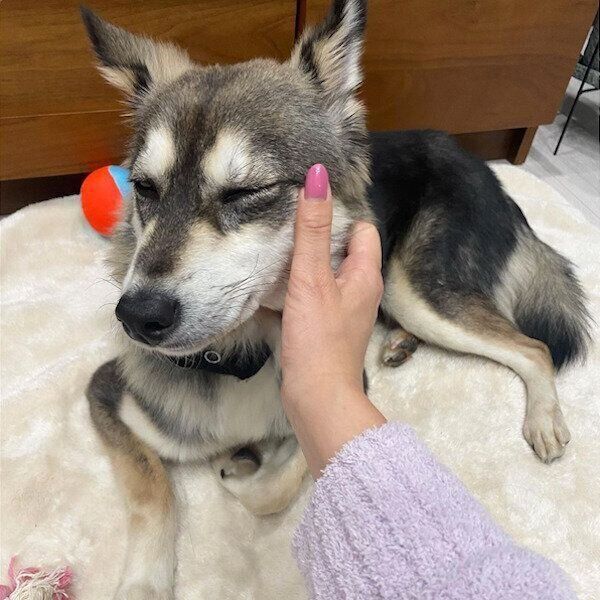 座っている状態で初めて触れられたララちゃん。