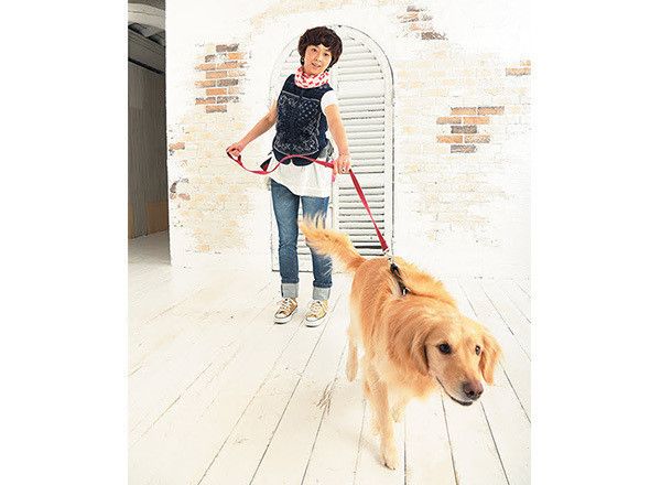 散歩するゴールデン・レトリーバー