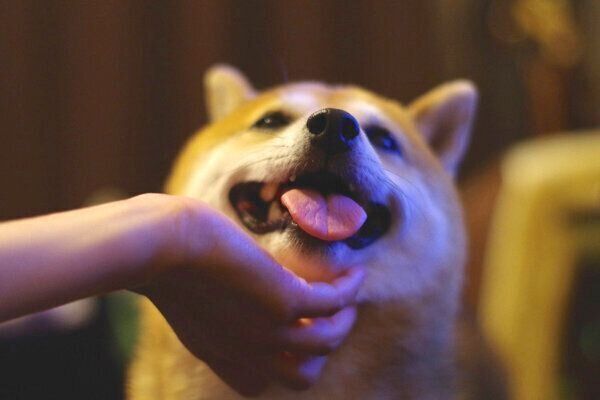 笑顔のクリ丸ちゃん