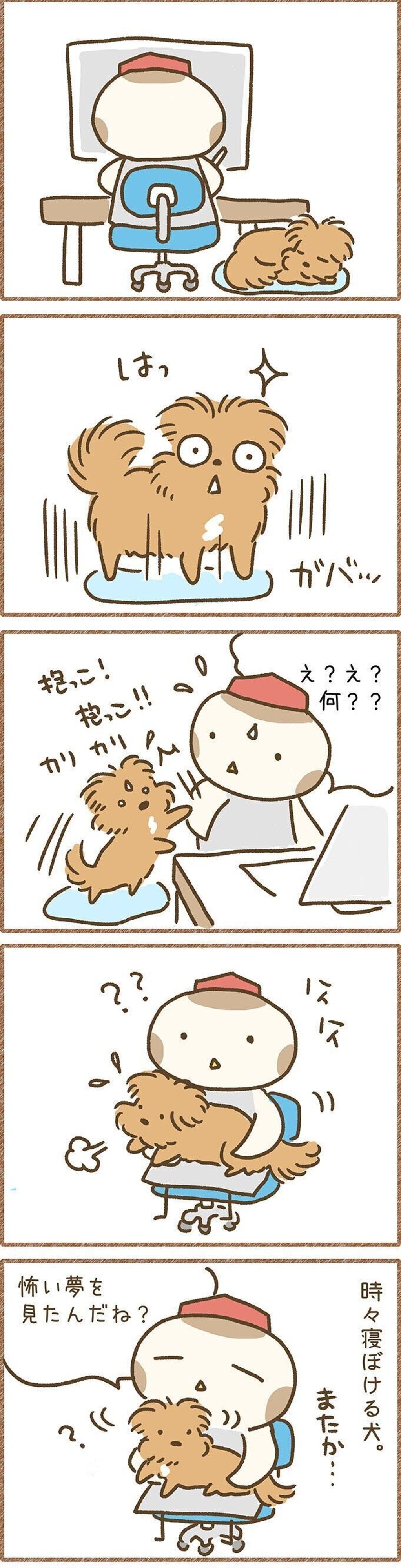 怖い夢見た 飛び起きると寝ぼけて抱っこをせがんきた 連載 こぐま犬てんすけ Vol 63 いぬのきもちweb Magazine 怖い夢見た 飛び起きると寝ぼけて抱っこをせがんきた 連載 こぐま犬てんすけ Vol 63 いぬのきもちweb Magazine