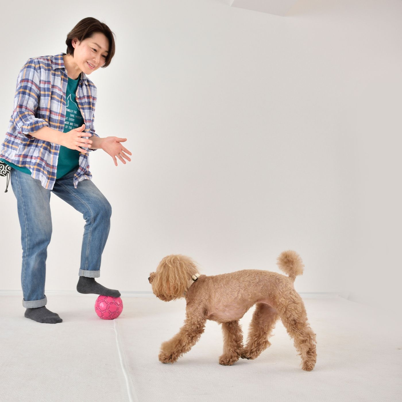 あ 愛犬が逃げた そんなとき追いかけるのはng 正しい対応は いぬのきもちweb Magazine あ 愛犬が逃げた そんなとき追いかけるのはng 正しい対応は いぬのきもちweb Magazine