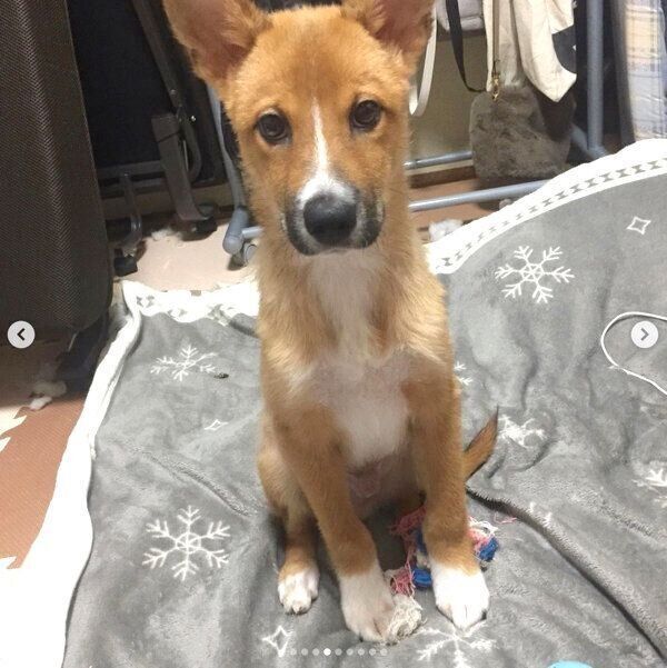 お座りをする凛太郎くん