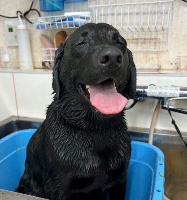 気持ちよさそうなぽこちゃん