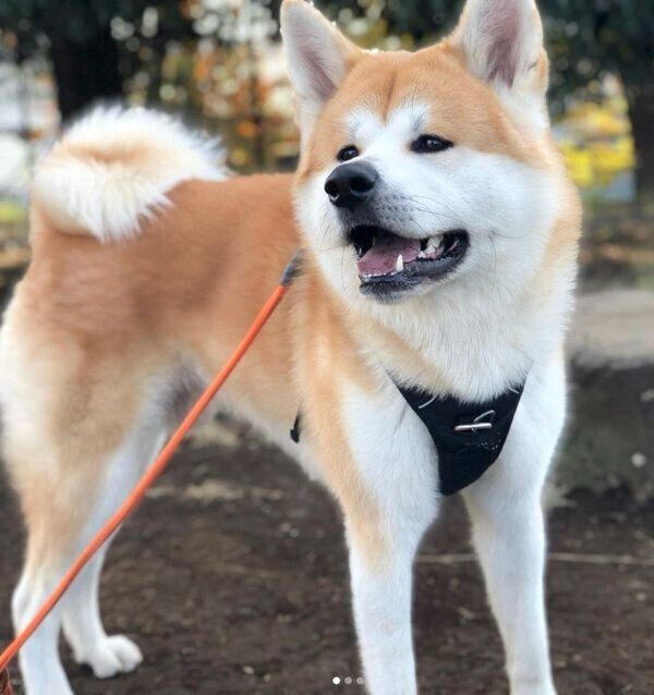 笑顔が可愛い大吉くん