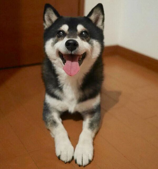 笑顔の豆太郎くん