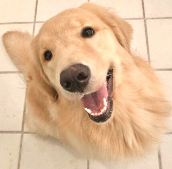 笑顔のよつばちゃん