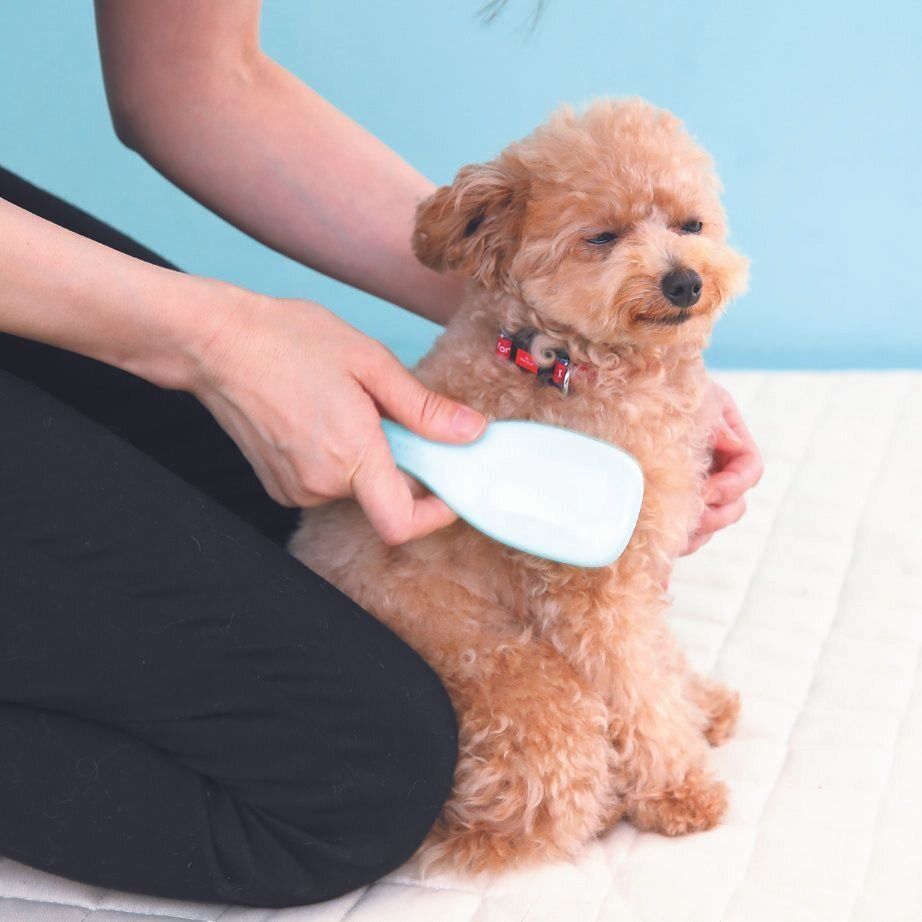 撮影／尾﨑たまき