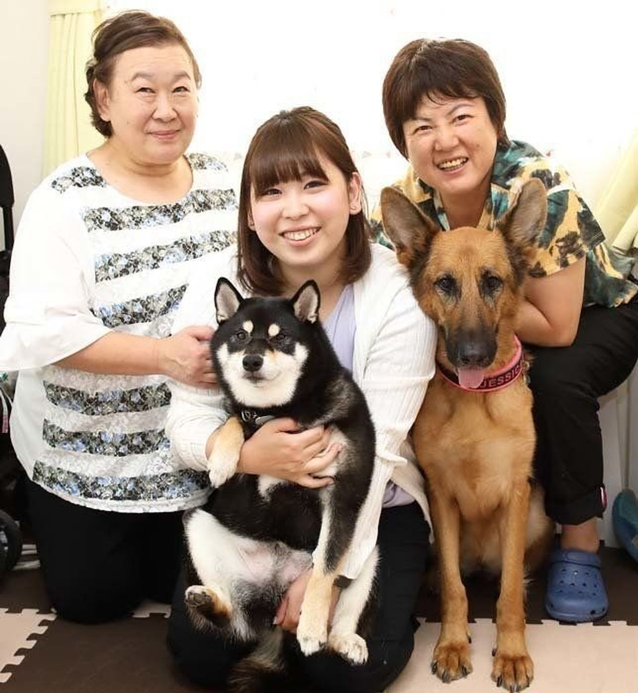 原因不明の激しい下痢が 1日何度も続く 元警察犬を襲った難病の正体とは いぬのきもちweb Magazine 原因不明の激しい下痢が 1日何度も続く 元警察犬を襲った難病の正体とは いぬのきもちweb Magazine