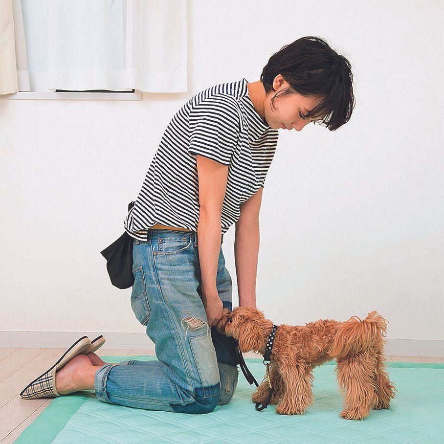 密着する位置まで来たら「イイコ」とほめる