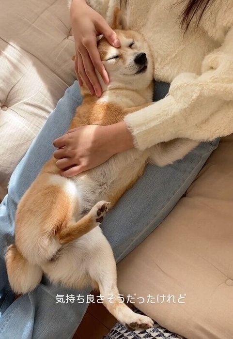 甘えるすずちゃん