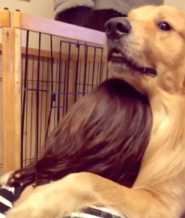 飼い主さんに「大好き」を伝える福ちゃん