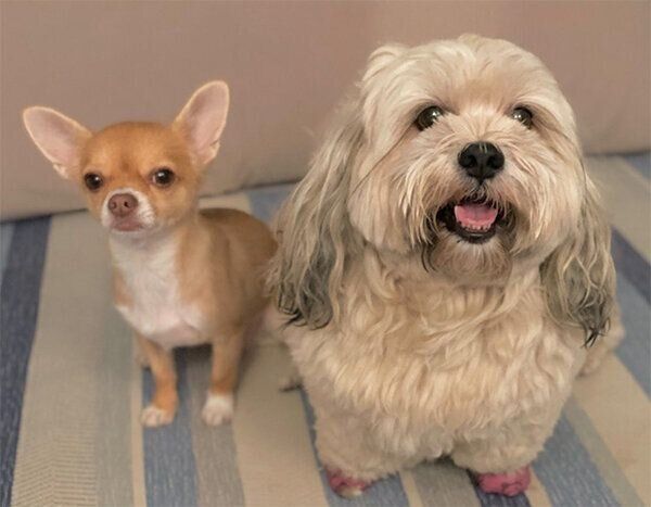 お友達とうーきーちゃん