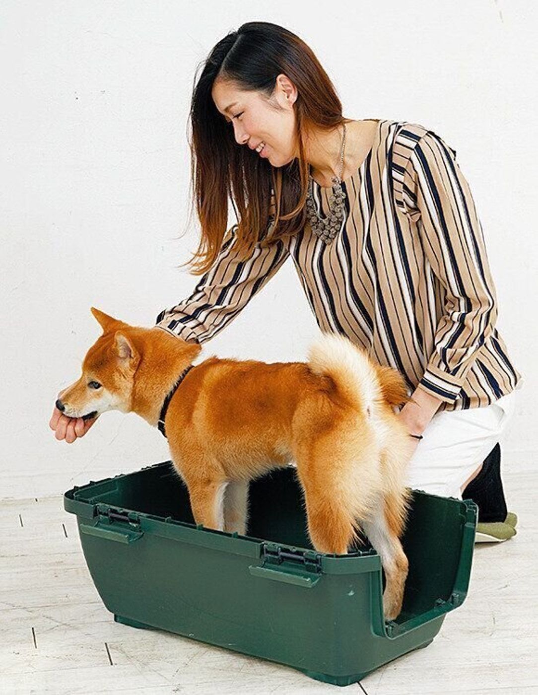 クレートってこんなに便利 クレート好きな犬にするための6step いぬのきもちweb Magazine クレートってこんなに便利 クレート好きな犬にするための6step いぬのきもちweb Magazine