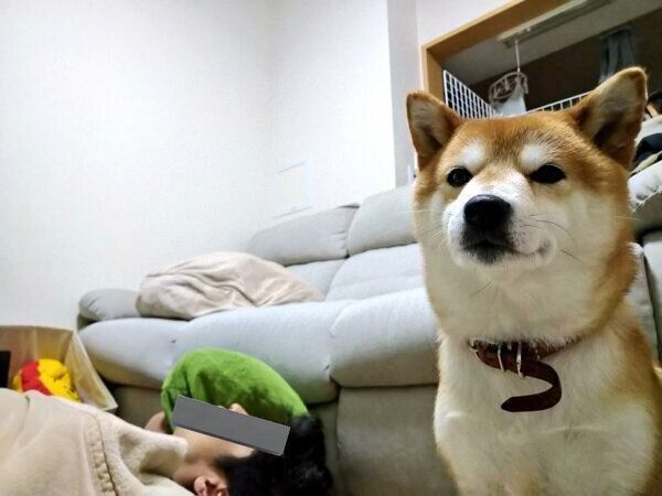 わさびちゃんとパパさん