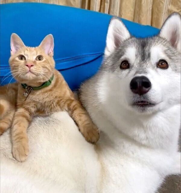 仲良しなユキちゃん、レンちゃん