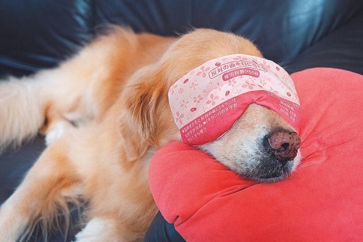 目のケアも欠かさず行う