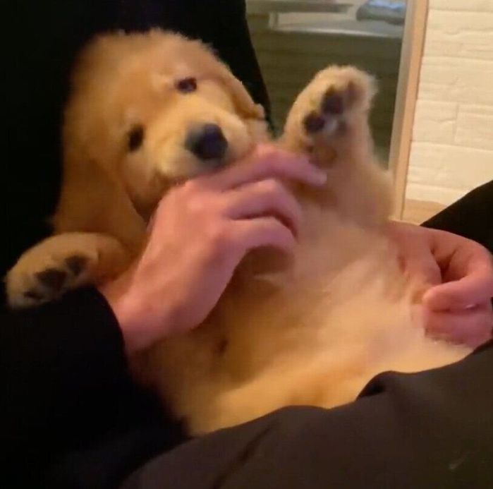 生後3カ月のころに撮影したリリーちゃん