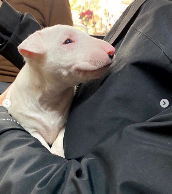 出会った頃のすずこちゃん