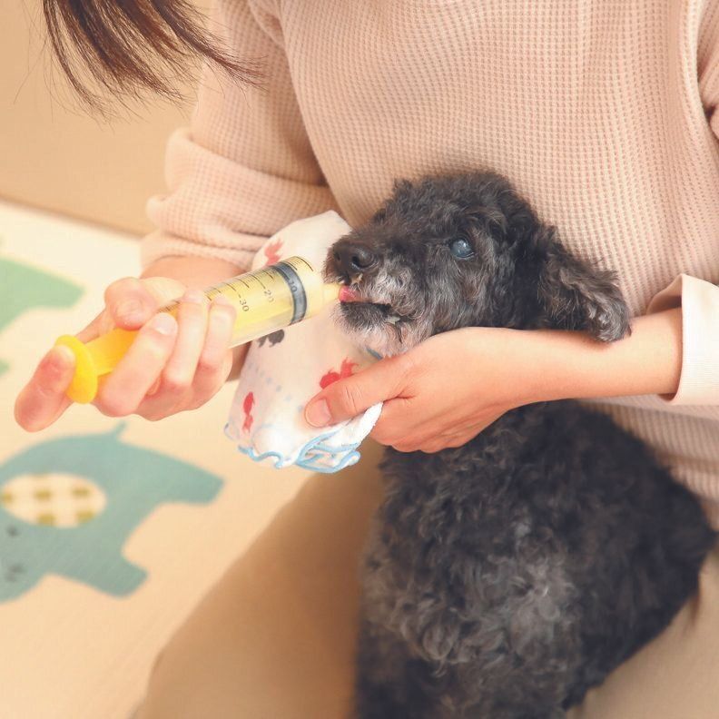 撮影／尾﨑たまき