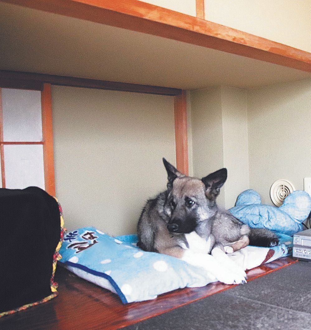 写真提供／Fさん