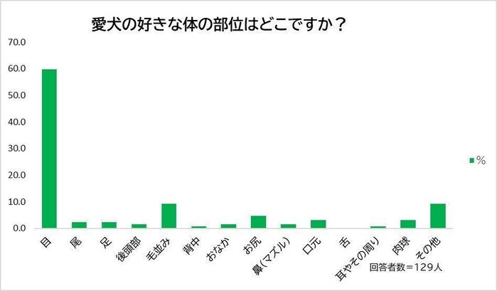 愛犬の好きな体の部位は?