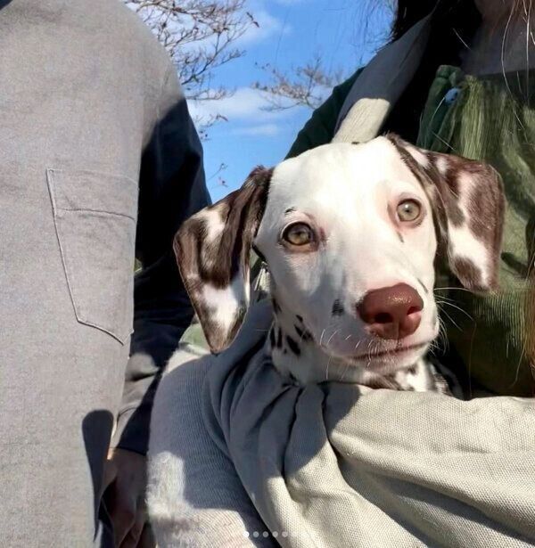 生後3カ月頃のあずきちゃん