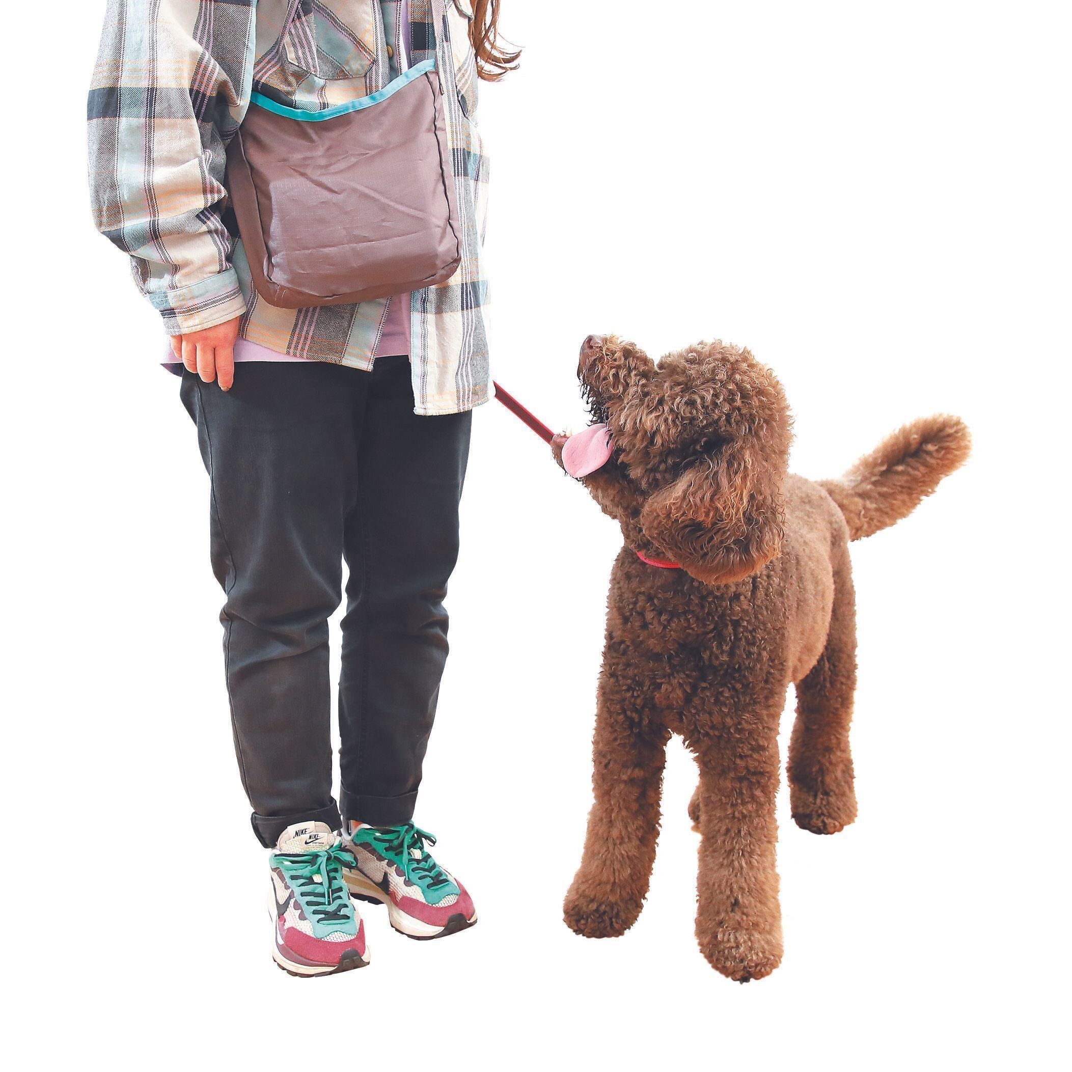 撮影／尾﨑たまき