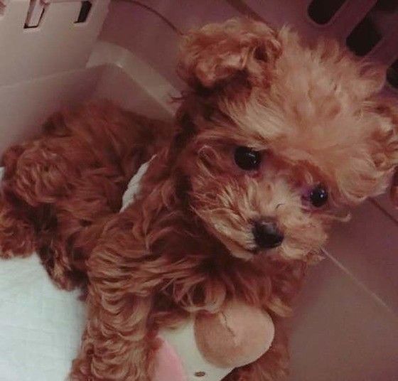 ちょっと不安そう