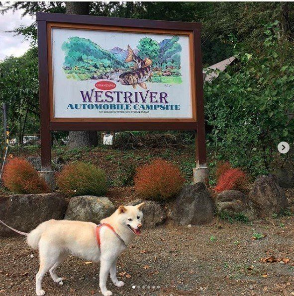 看板前のるあなちゃん