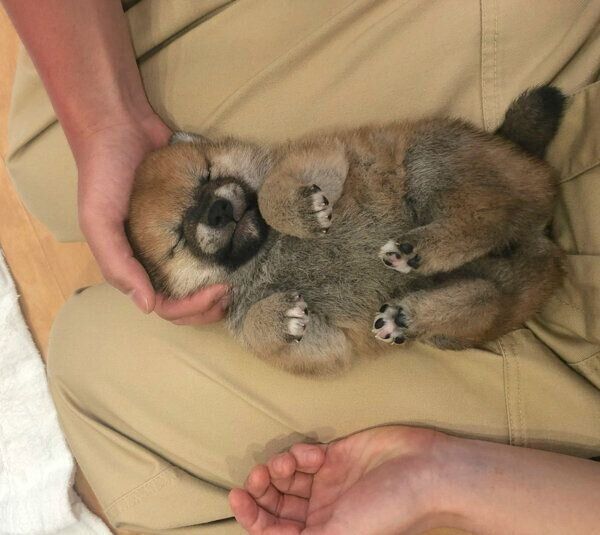 大桜くんと初めて会った日の様子