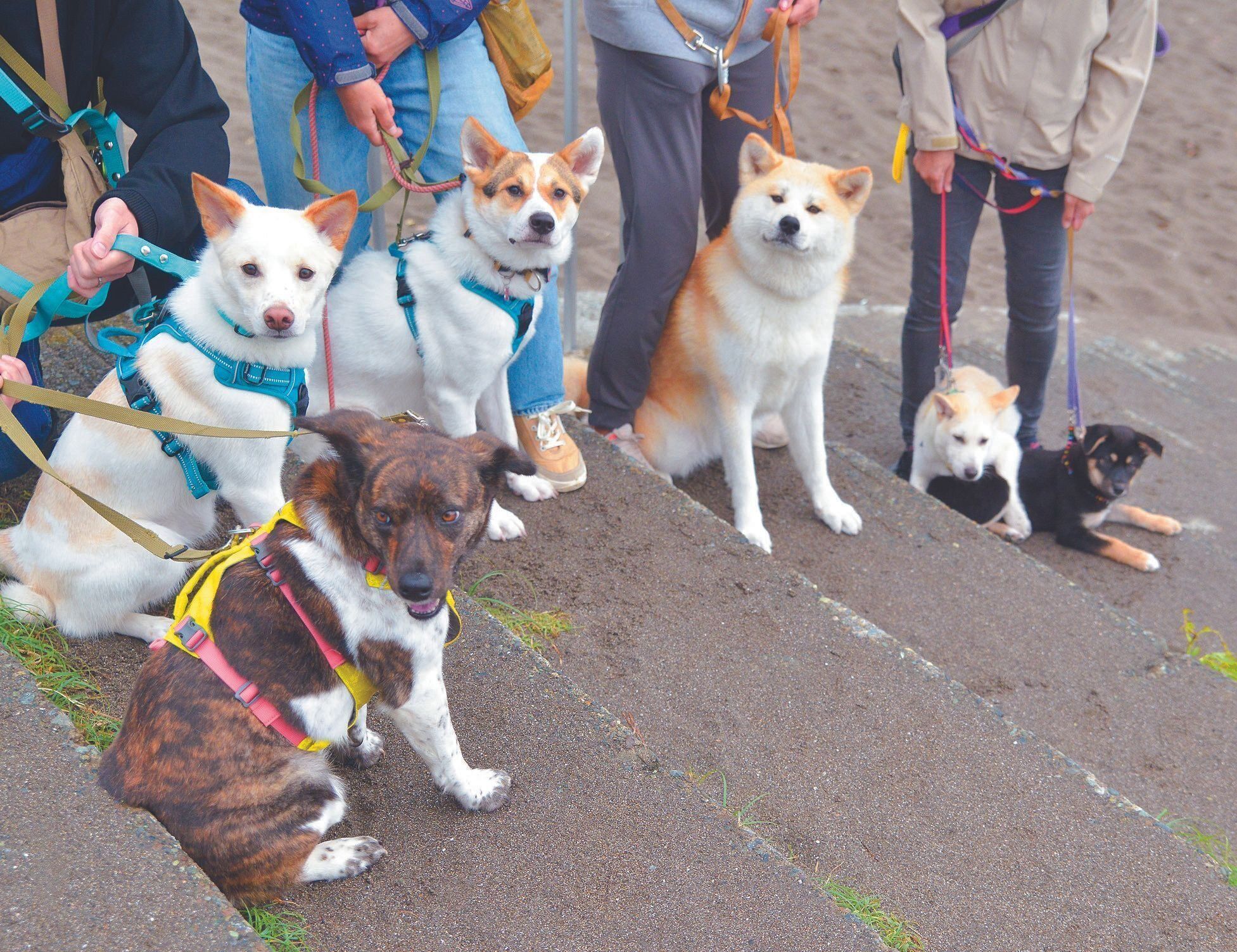 撮影／犬丸美絵