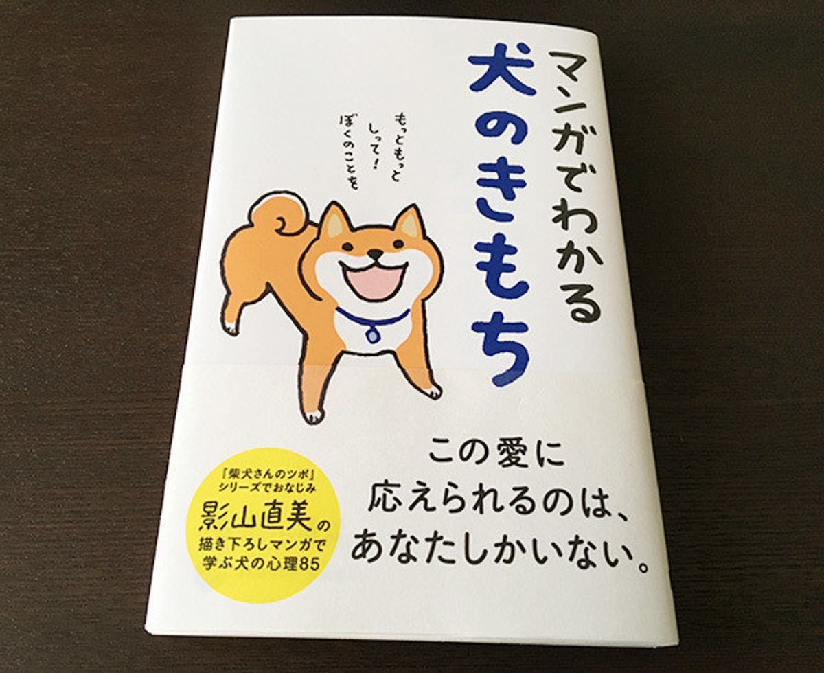 犬はウンチをするときに南北を向く 驚くべき犬の本音に迫る いぬのきもちweb Magazine 犬はウンチをするときに南北を向く 驚くべき犬の本音に迫る いぬのきもちweb Magazine