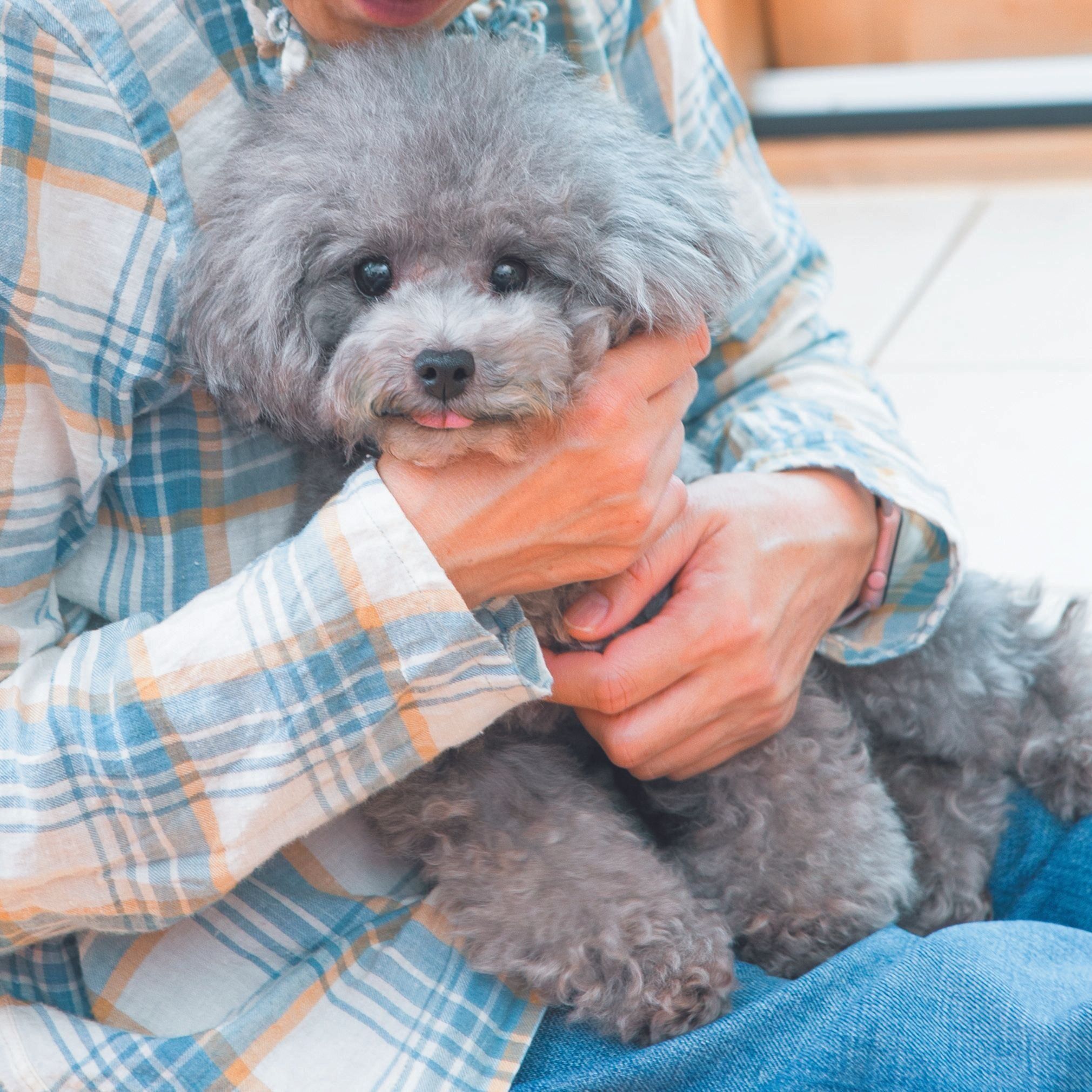 飼い主さんのことを〝親〞のように思っている!?