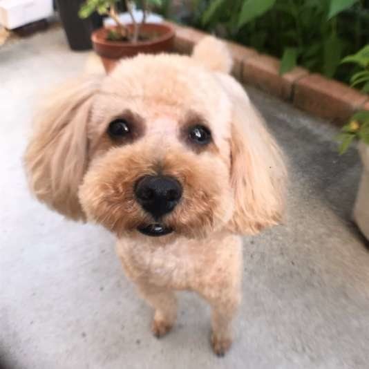 ねぇねぇ、次は何するの？