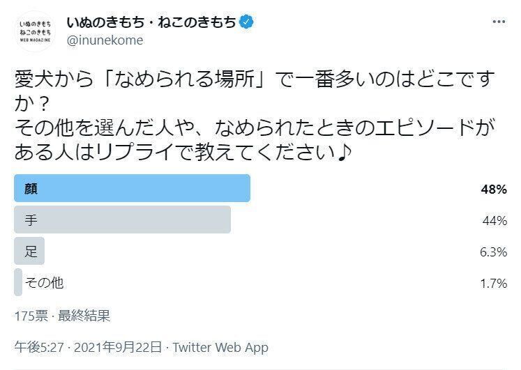 愛犬になめられる場所についてのアンケート結果